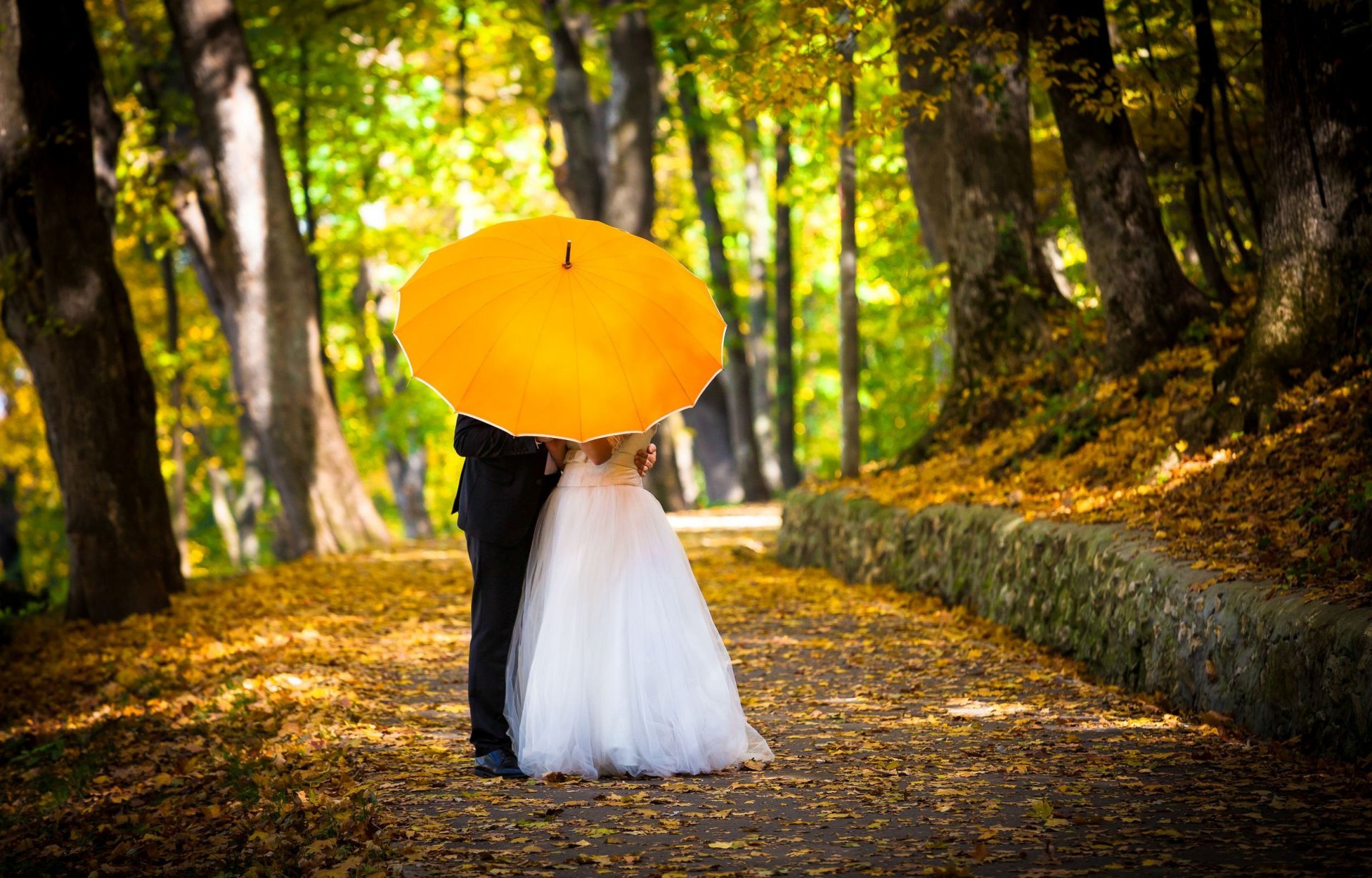 stimmung mädchen kerl mann frau hochzeitskleid bräutigam braut frisch vermählt herbst anzug smoking regenschirm regenschirm gelb fußweg gasse bäume liebe hochzeit tapete widescreen vollbild widescreen