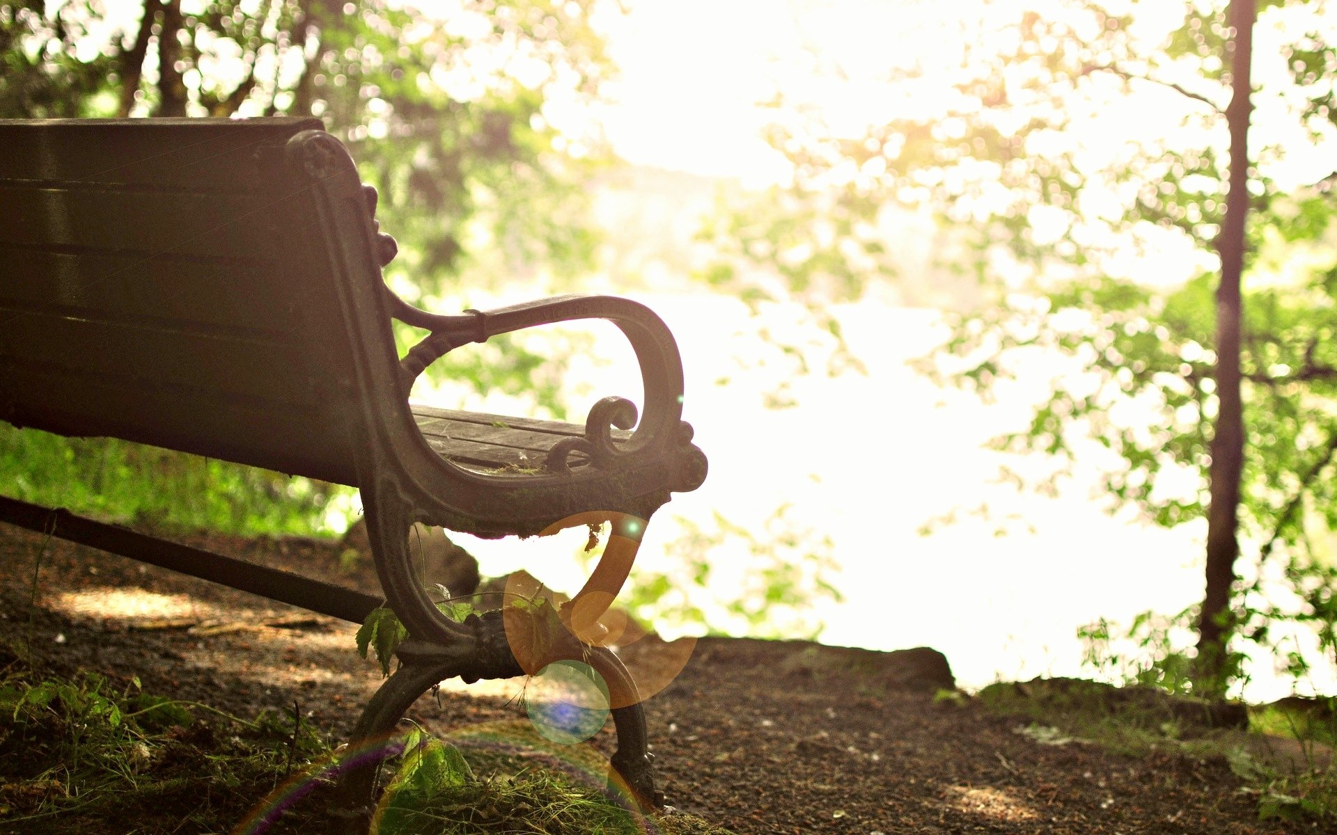 humeur banc banc banc banc arbres arbre feuilles folioles bokeh soleil fond papier peint écran large plein écran écran large écran large