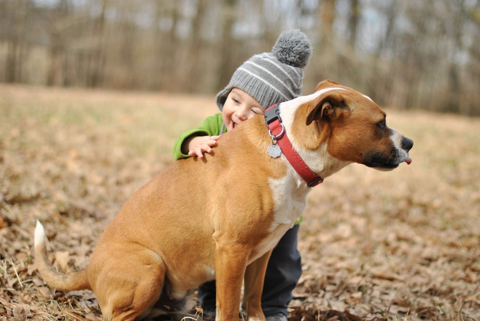 junge hund freund stimmung freude umarmungen kind umarmungen hintergrund tapete widescreen vollbild widescreen widescreen