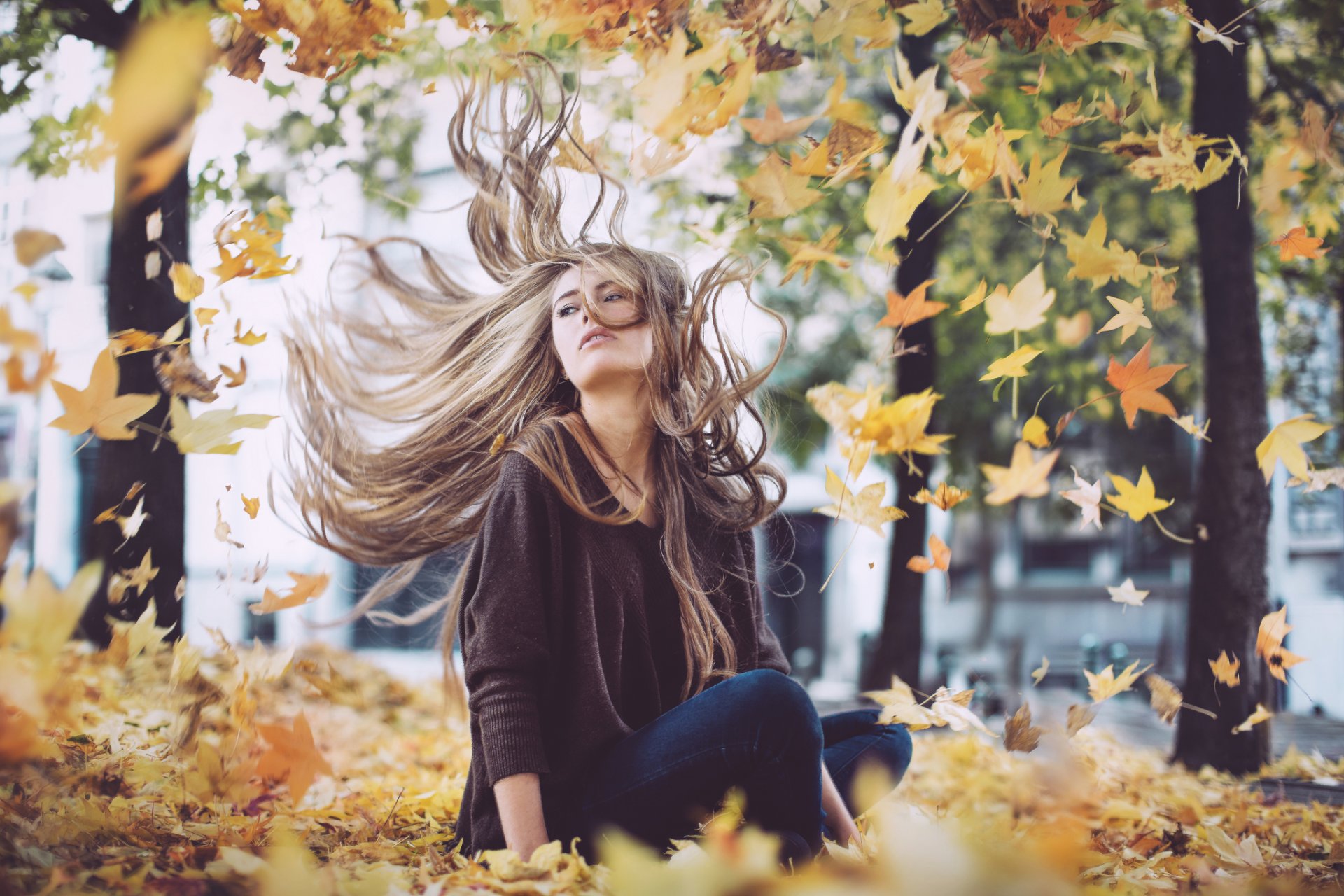 chica otoño follaje viento