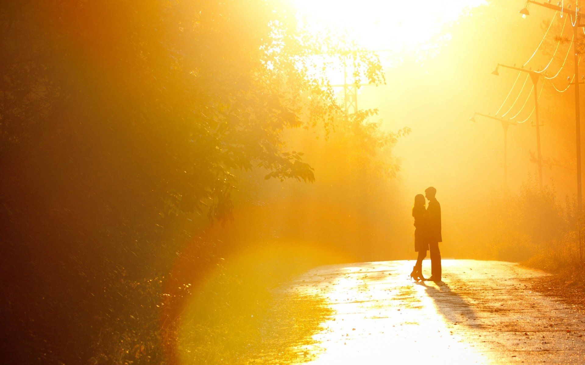 humeur fille mec homme femme les sentiments le couple le couple l amour les arbres le soleil toile de fond fond d écran grand écran plein écran grand écran