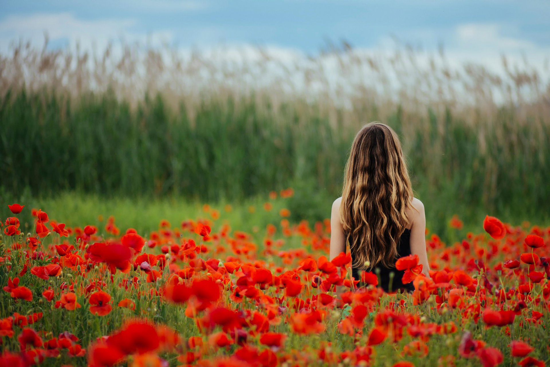 coquelicots champ fleurs fille