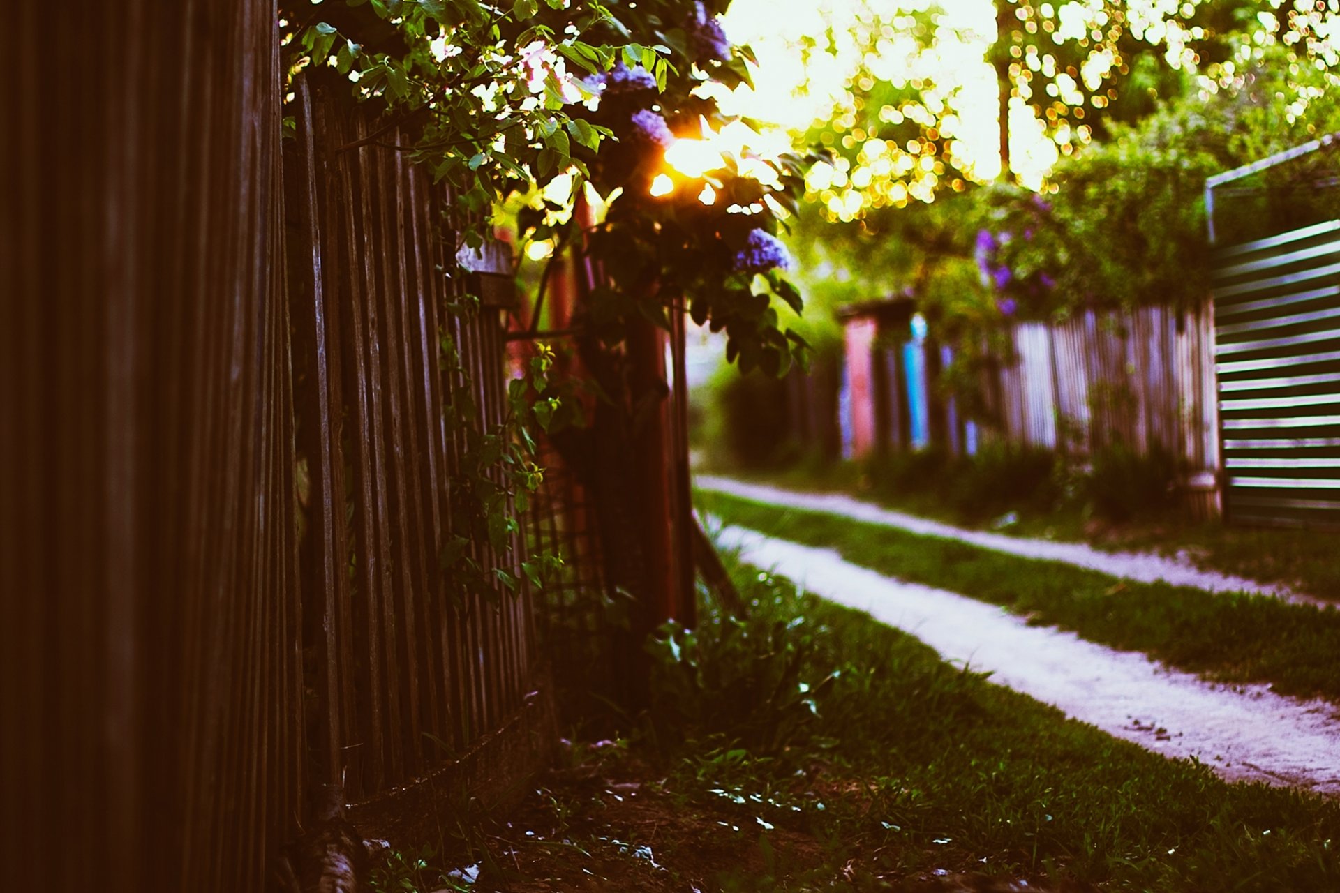 coucher de soleil clôture chalet herbe feuillage printemps soleil bokeh lilas