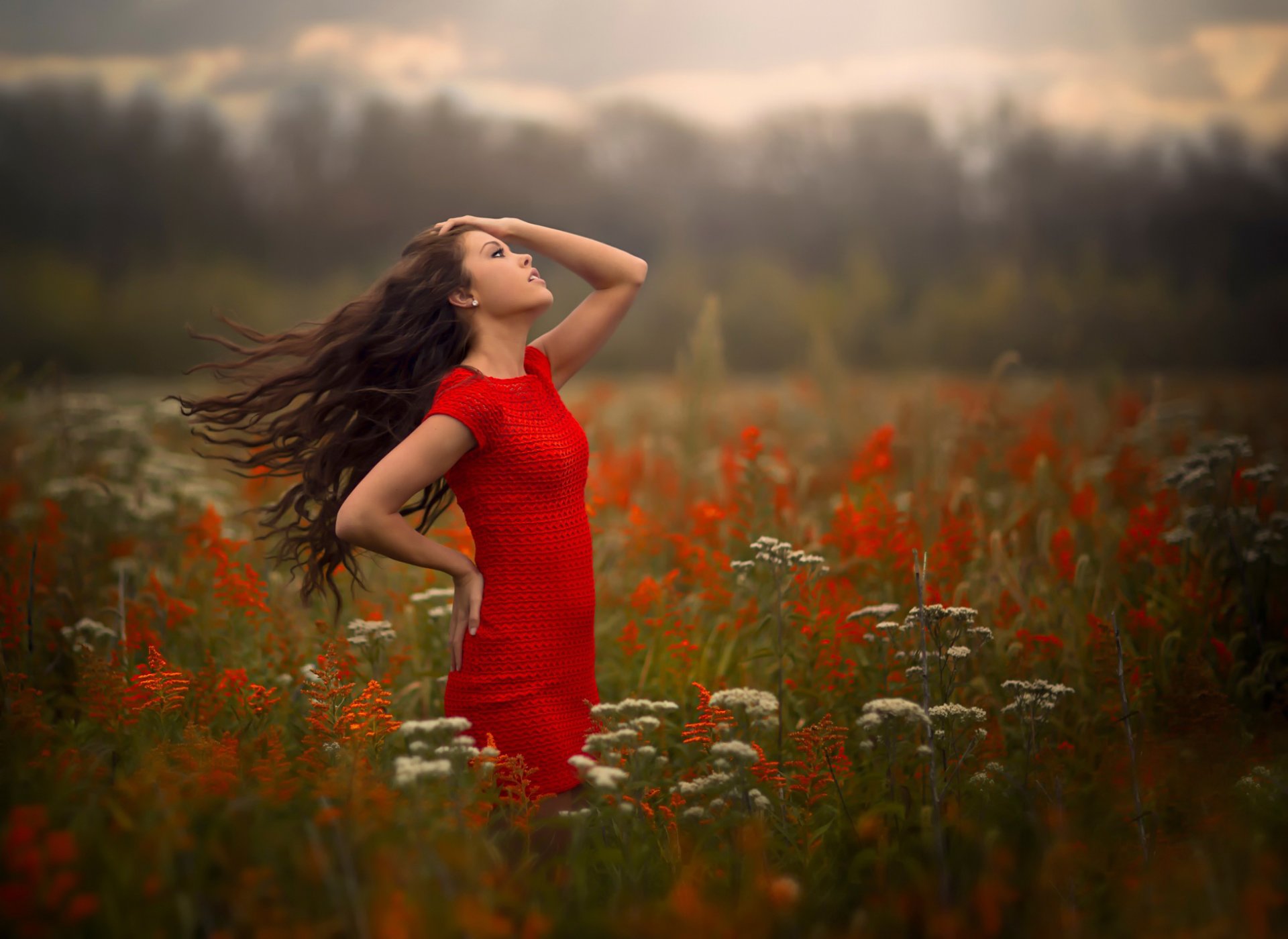 brezza ragazza in rosso vento campo