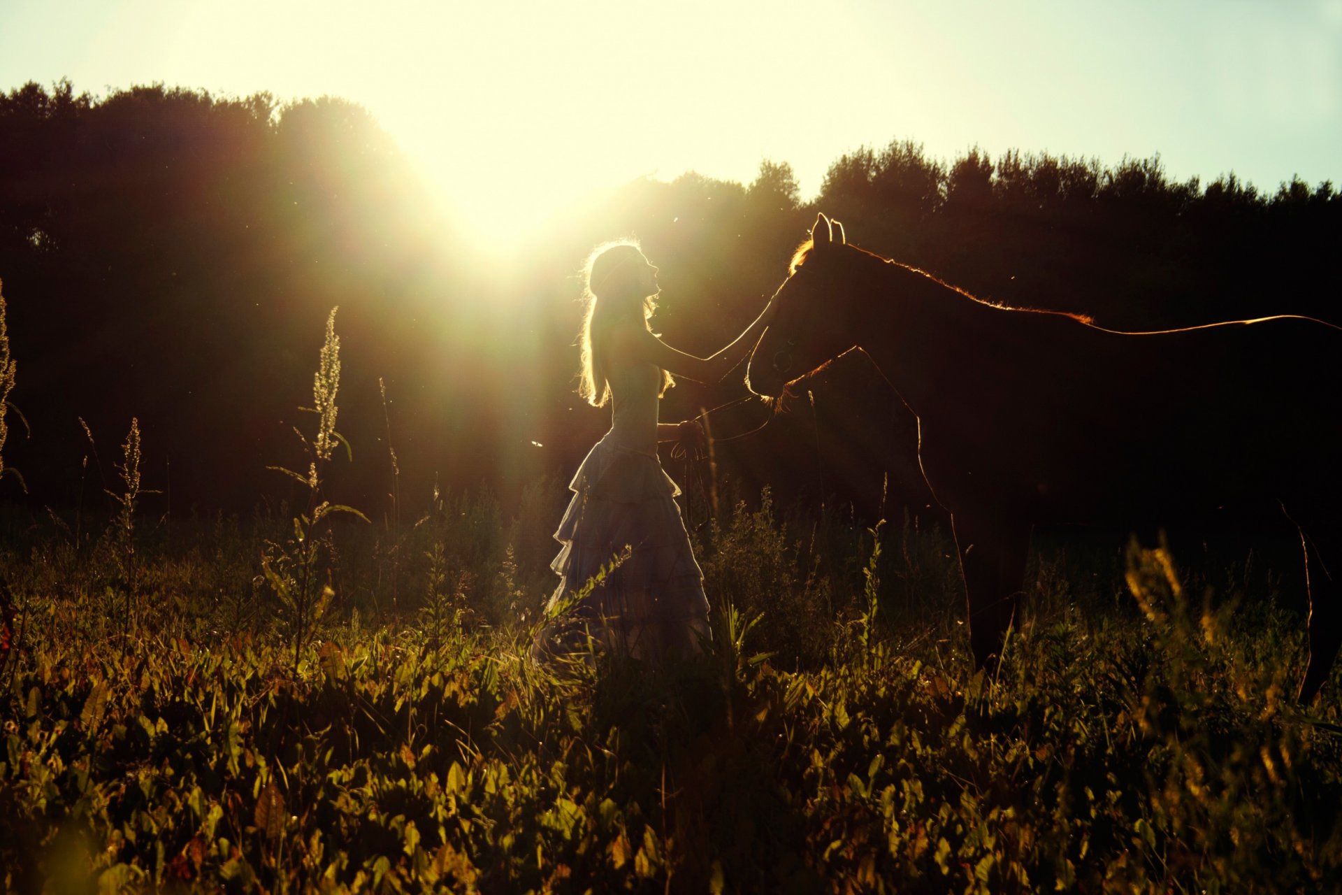 fille soleil été champ cheval