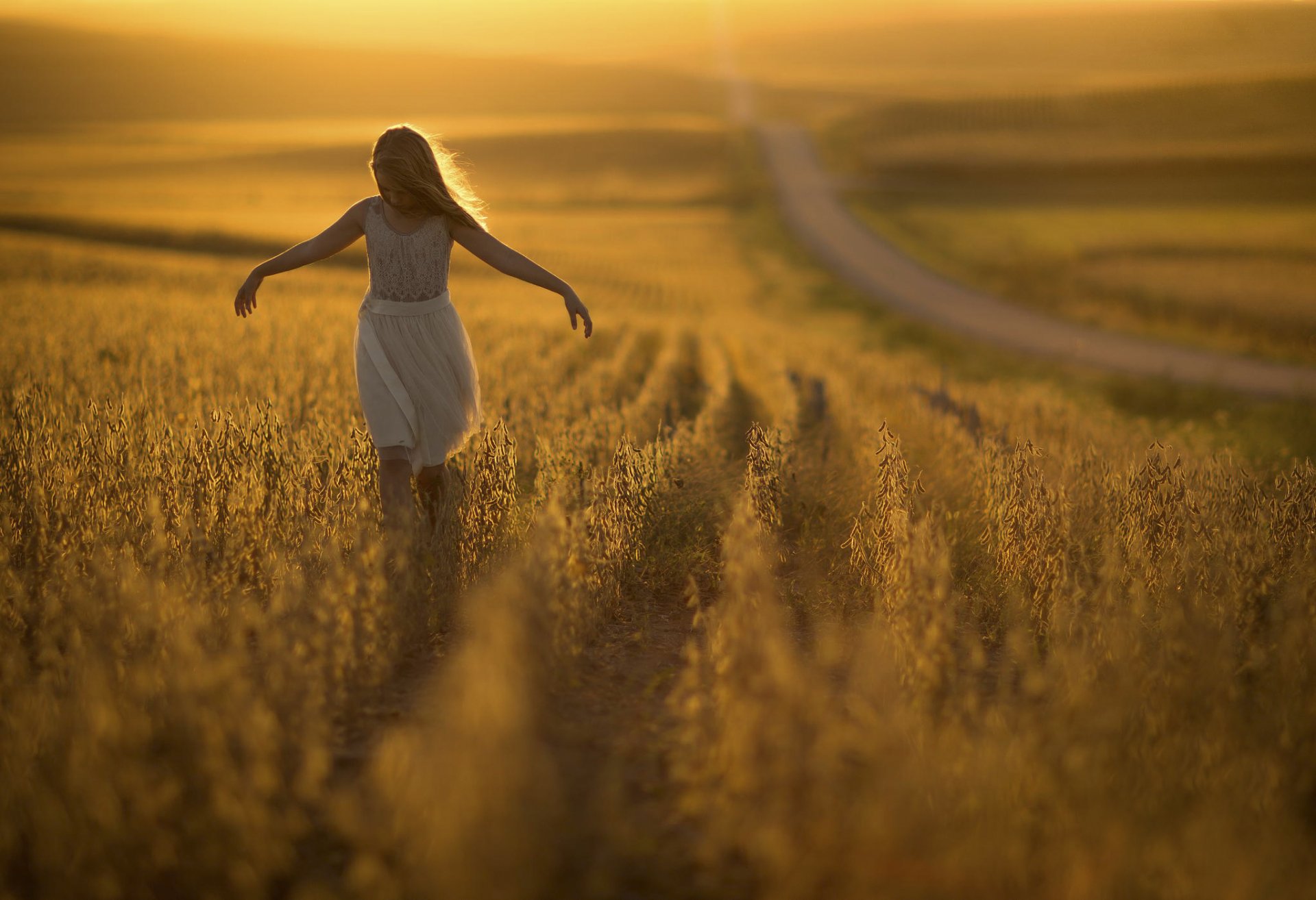 girl the field sun road bokeh