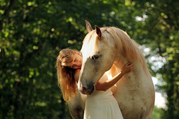 Fille avec un cheval clair journée ensoleillée