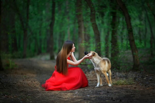 Una chica con un vestido rojo, con un perro. Proogulka en el bosque