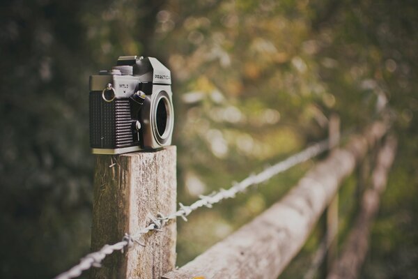 Фотоаппарат стоит на бруска девева ограды в лесу