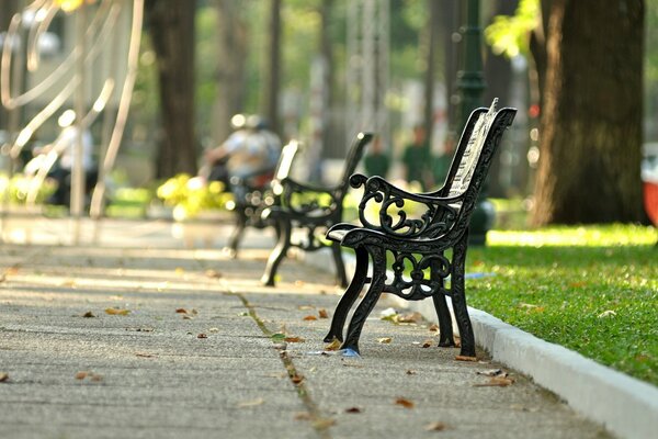 Un banc dans le parc de l automne