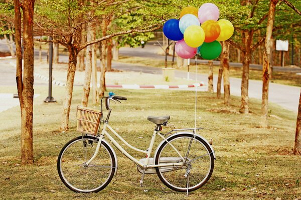 Bicycle with lunch basket