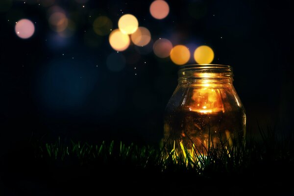 Glas mit Gras auf dunklem Hintergrund