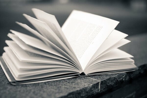 The wind turns the pages of an open book