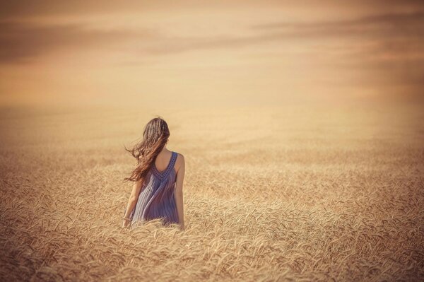 Ah, quel campo giallo di amore e delusione