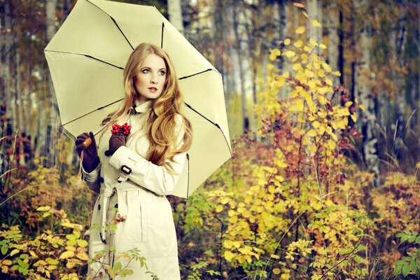 Die Schönheit des Herbstwaldes. Mädchen mit Regenschirm