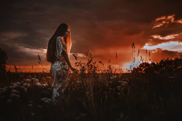 A girl with long hair on the background of a beautiful sunset