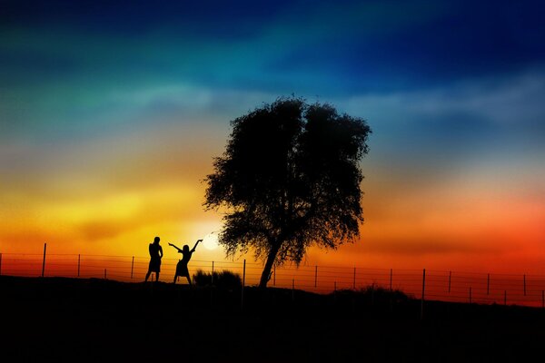 Bei Sonnenuntergang Silhouetten von einem Paar und einem Baum