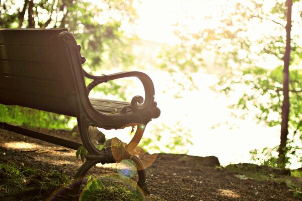 An empty bench in the woods by the lake. Ska