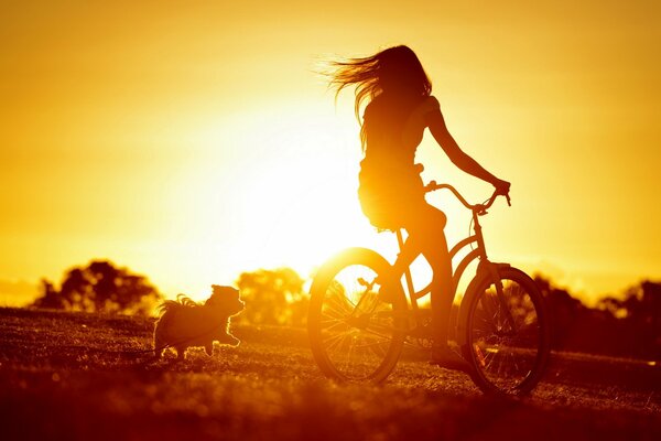 Una ragazza in bicicletta va al tramonto