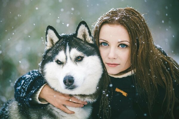 Девушка с голубыми глазами и собакой хаски