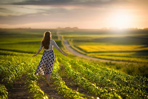 Ragazza cammina attraverso il campo in Dali sole tramonta