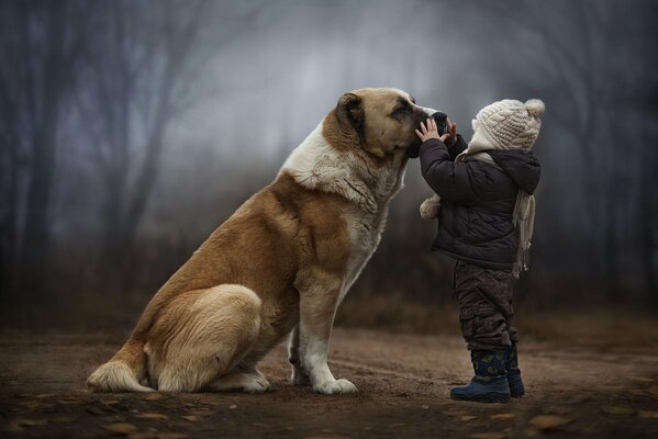 Perro devoto con un niño pequeño