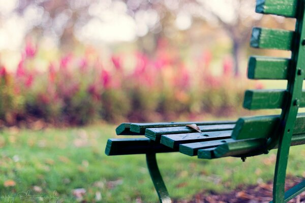 Herbststimmung auf einer Parkbank