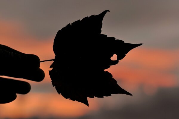 A leaf on which a heart is depicted on the background of a sunset