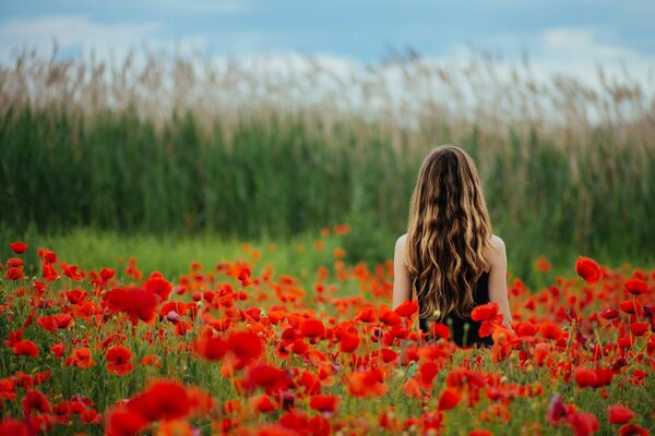 Mädchen auf dem Hintergrund eines roten Mohnfeldes in Blumen