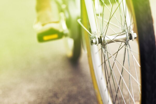 The bicycle wheel is flooded with sunlight