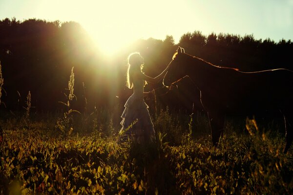 A girl with a horse against the background of the forest and the setting sun