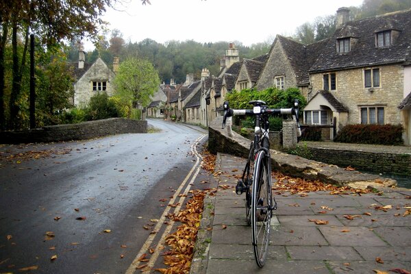 Cycling through the autumn city