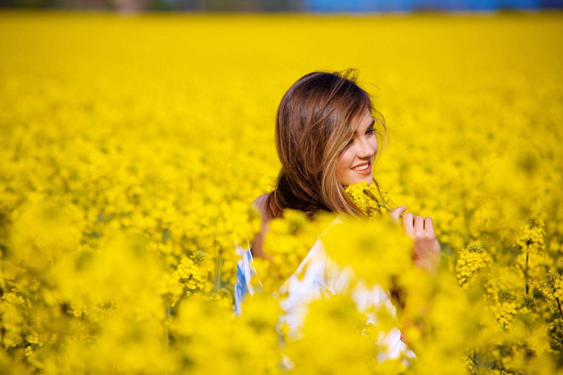 moods girl smile field flowers flowers yellow background widescreen fullscreen widescreen wallpaper