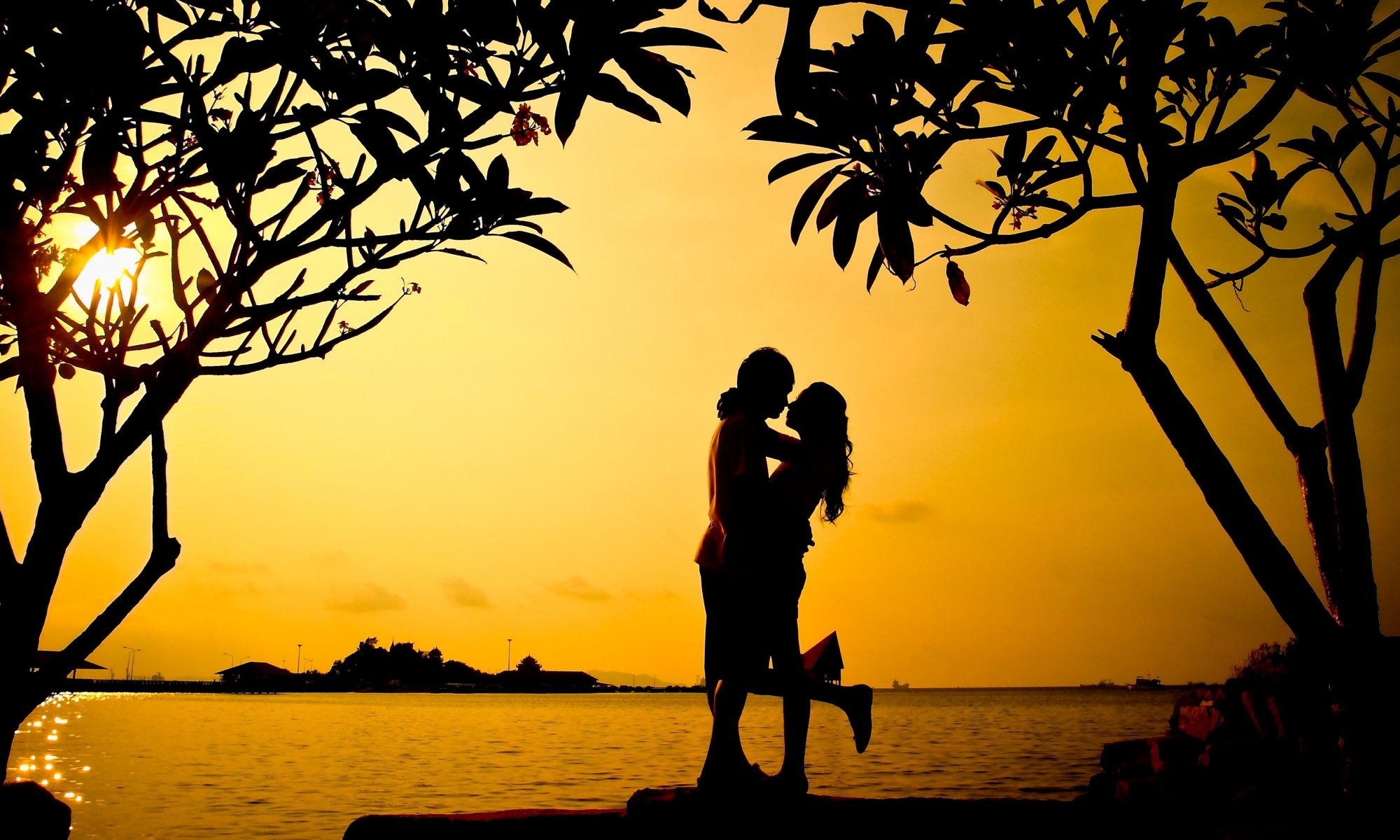 moods girl guy lovers man woman embrace trees tree leaves silhouette sunset nature sea love background wallpaper widescreen fullscreen widescreen