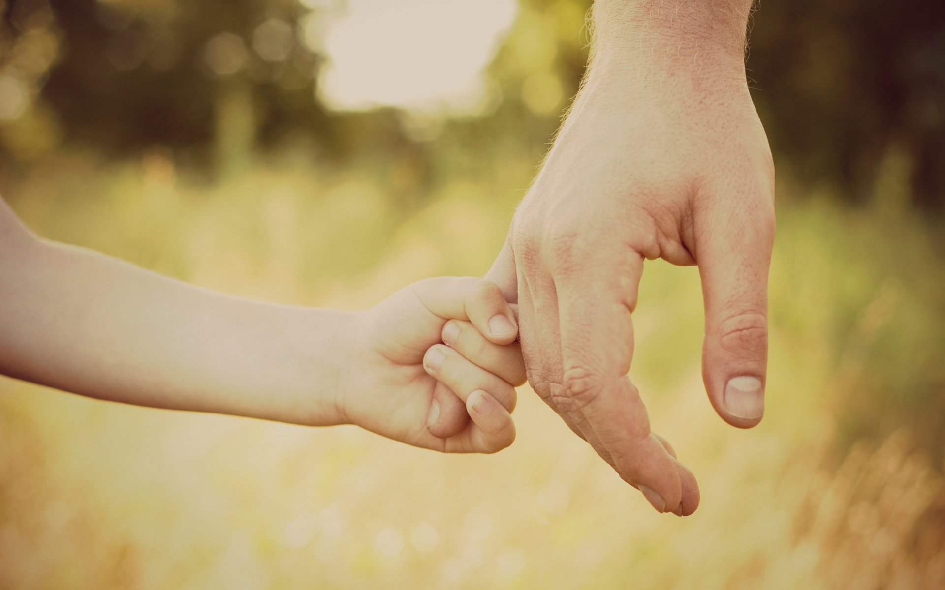 mano mani papà figlio bambini figlia bambini amore cura protezione impotenza fiducia passeggiata erba messa a fuoco bokeh foresta dita dito paternità felicità gioia giovinezza penna bambini ragazzi ragazze serenità calma carta da parati carta da parati widescreen k