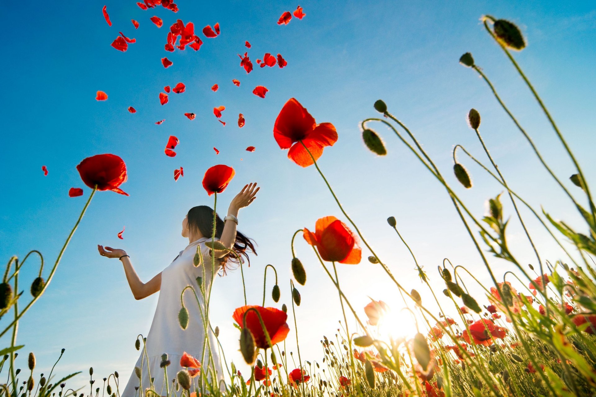 mood girl brunette flower close up poppies poppy red the field plants flowers background wallpaper widescreen full screen hd wallpapers fullscreen