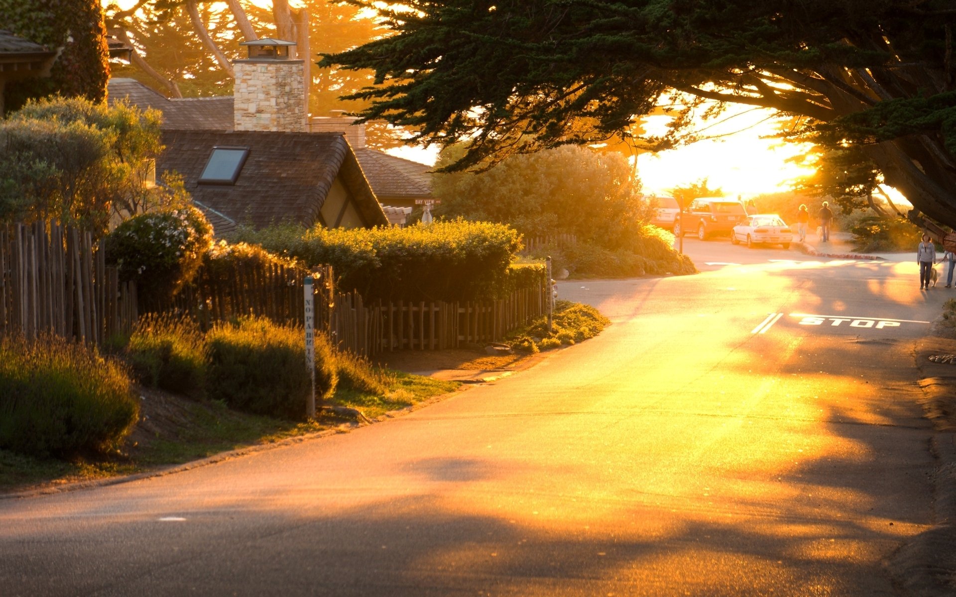 stimmung natur baum bäume pflanze laub grün vegetation straße stadt straße haus haus auto auto auto schatten sonne morgen tag hintergrund menschen tapete widescreen vollbild widescreen widescreen fu