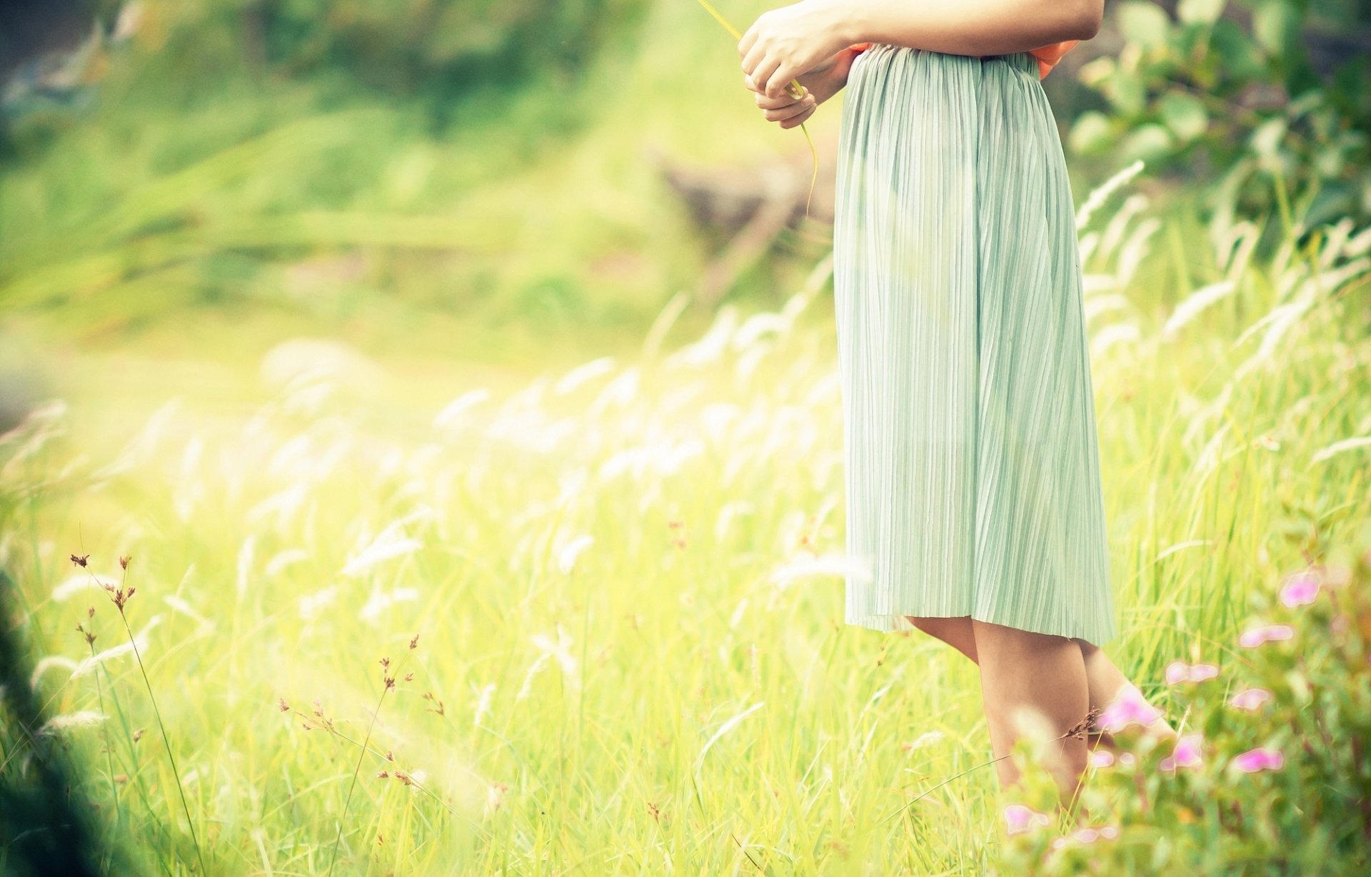 mood ragazza vestito piedi campo pianta fiori erba verde sole sfondo carta da parati widescreen a schermo intero widescreen widescreen