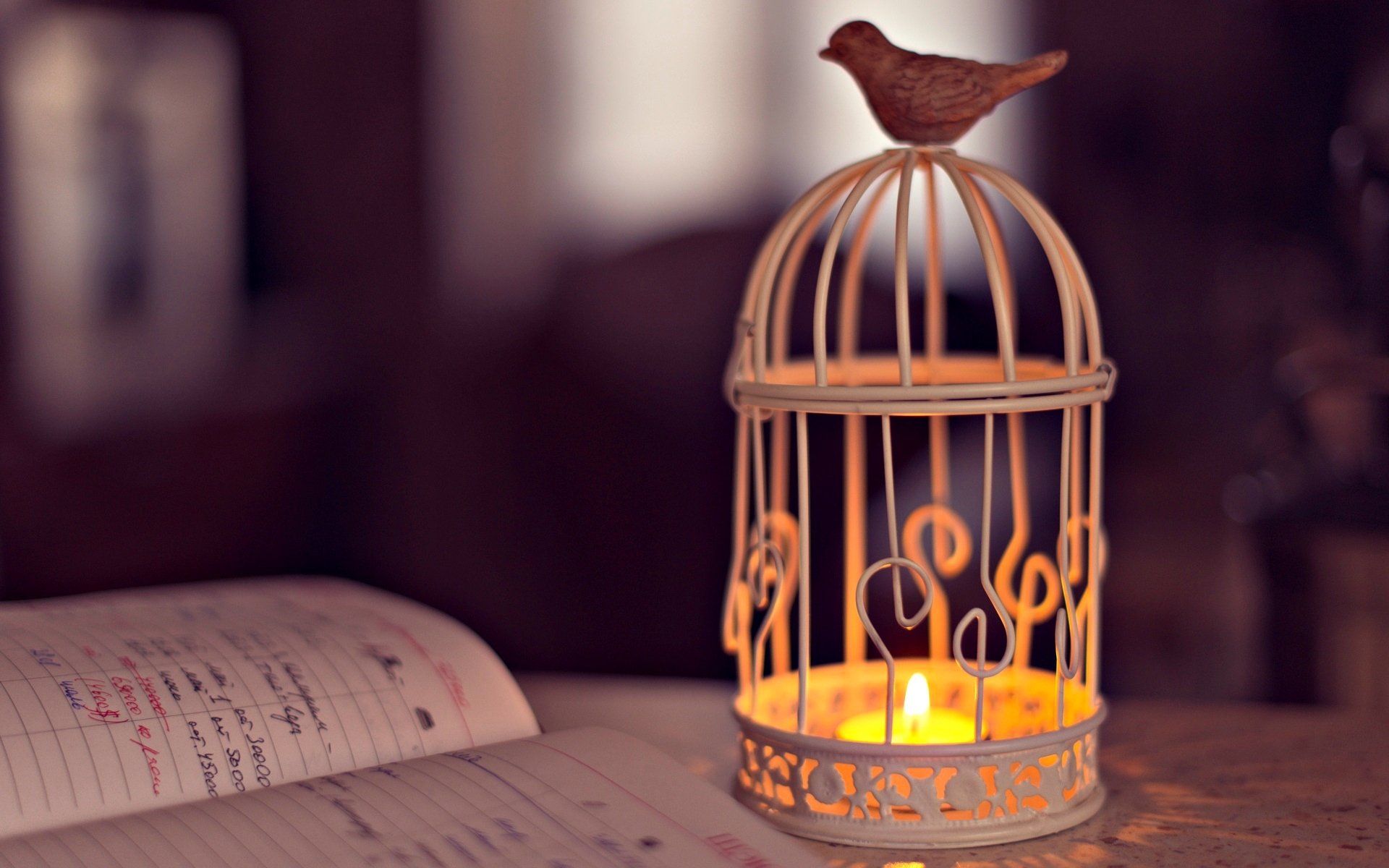 mood cage lantern flashlight bird candle shadows light notebook inscription background wallpaper widescreen fullscreen widescreen widescreen