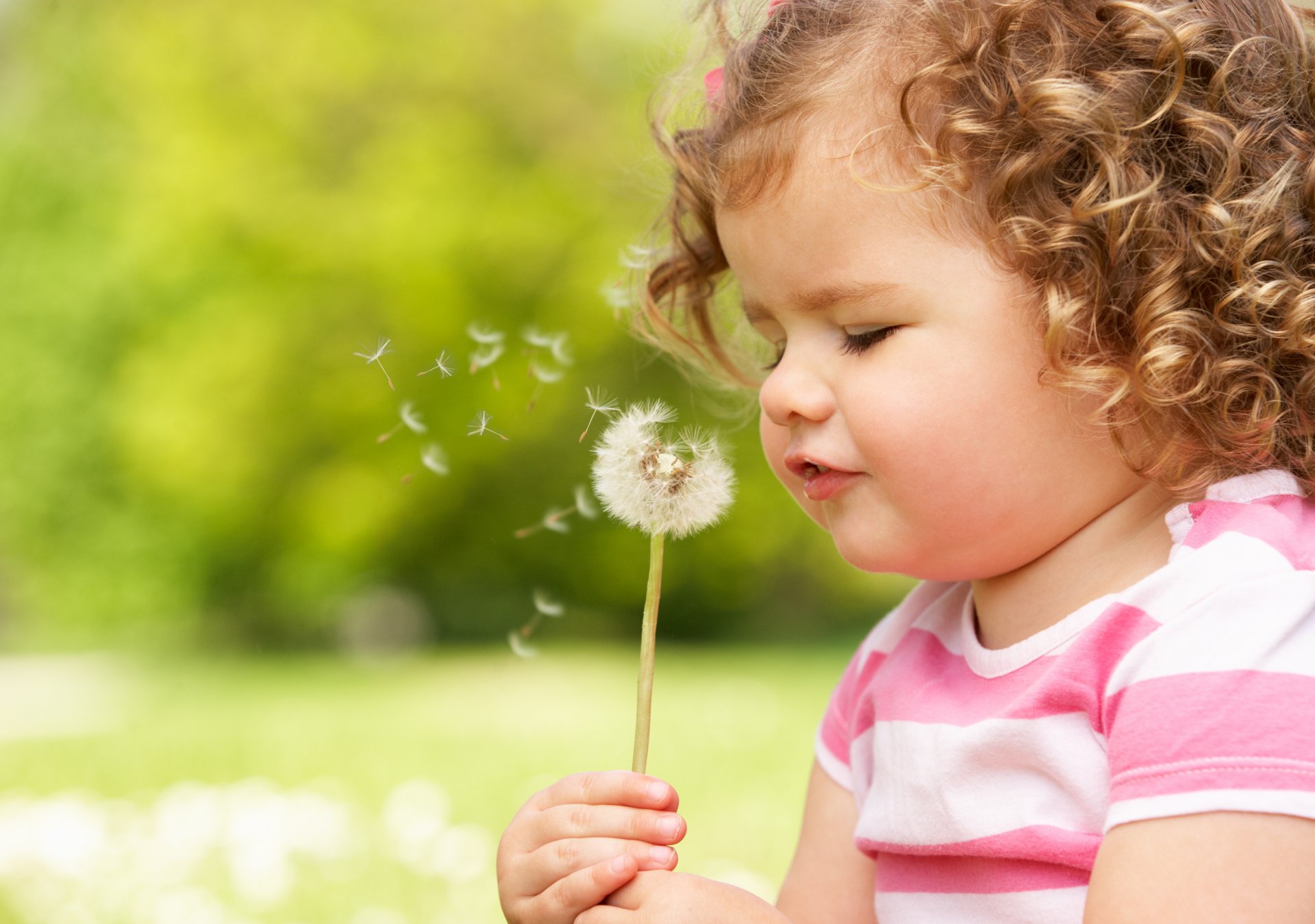 niña bebé felicidad flor modo alegría primavera niña linda hermosa niños flores primavera