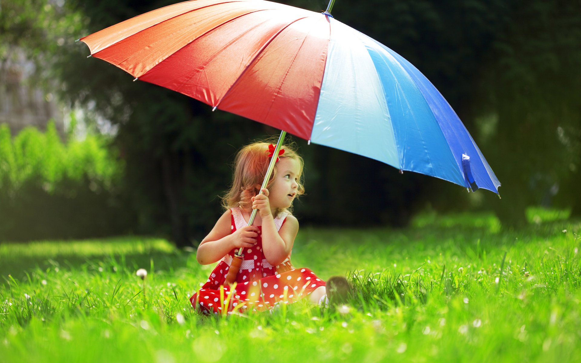 child girl dress peas umbrella grass nature tree