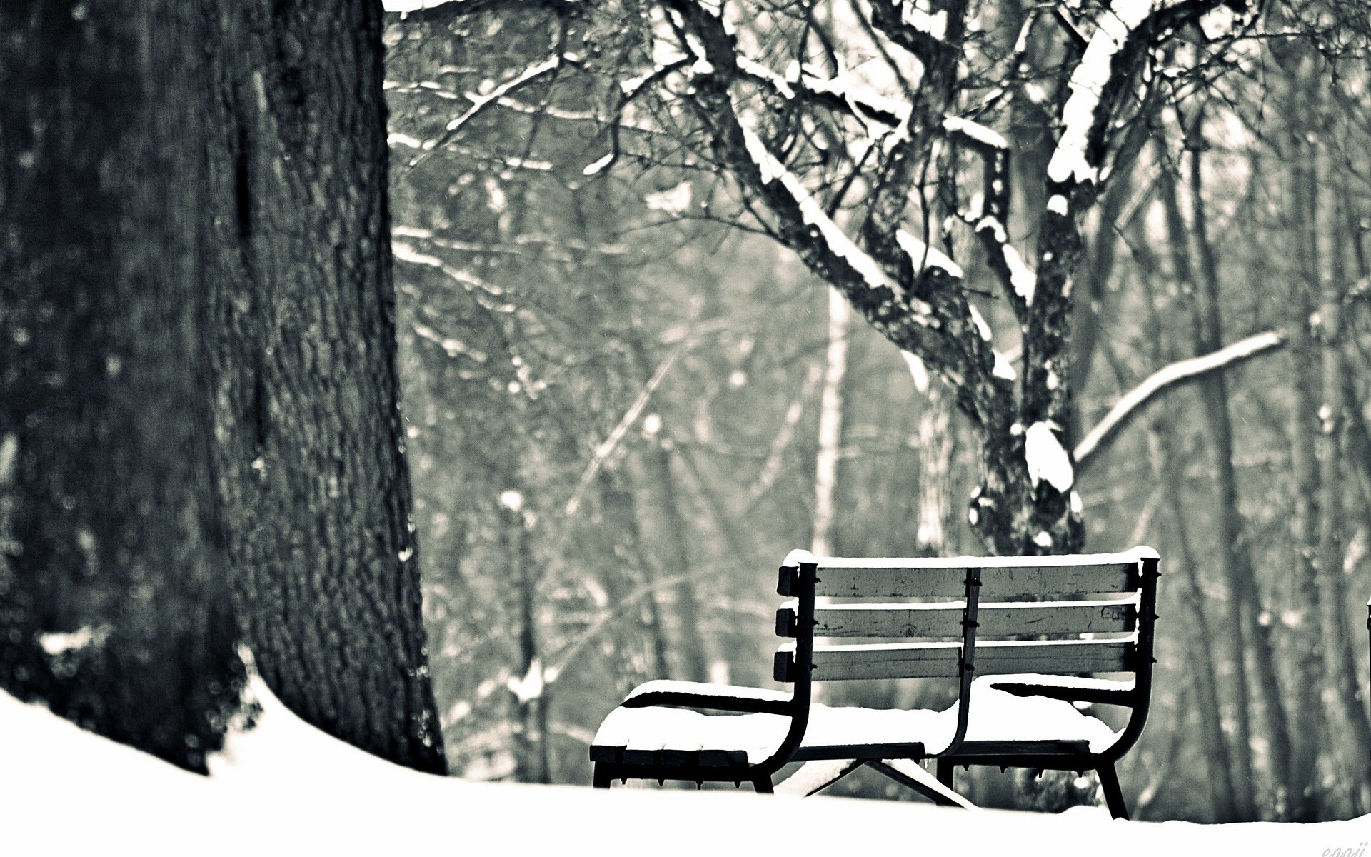 mood bench bench bench bench winter snow winter trees background wallpaper widescreen fullscreen widescreen widescreen