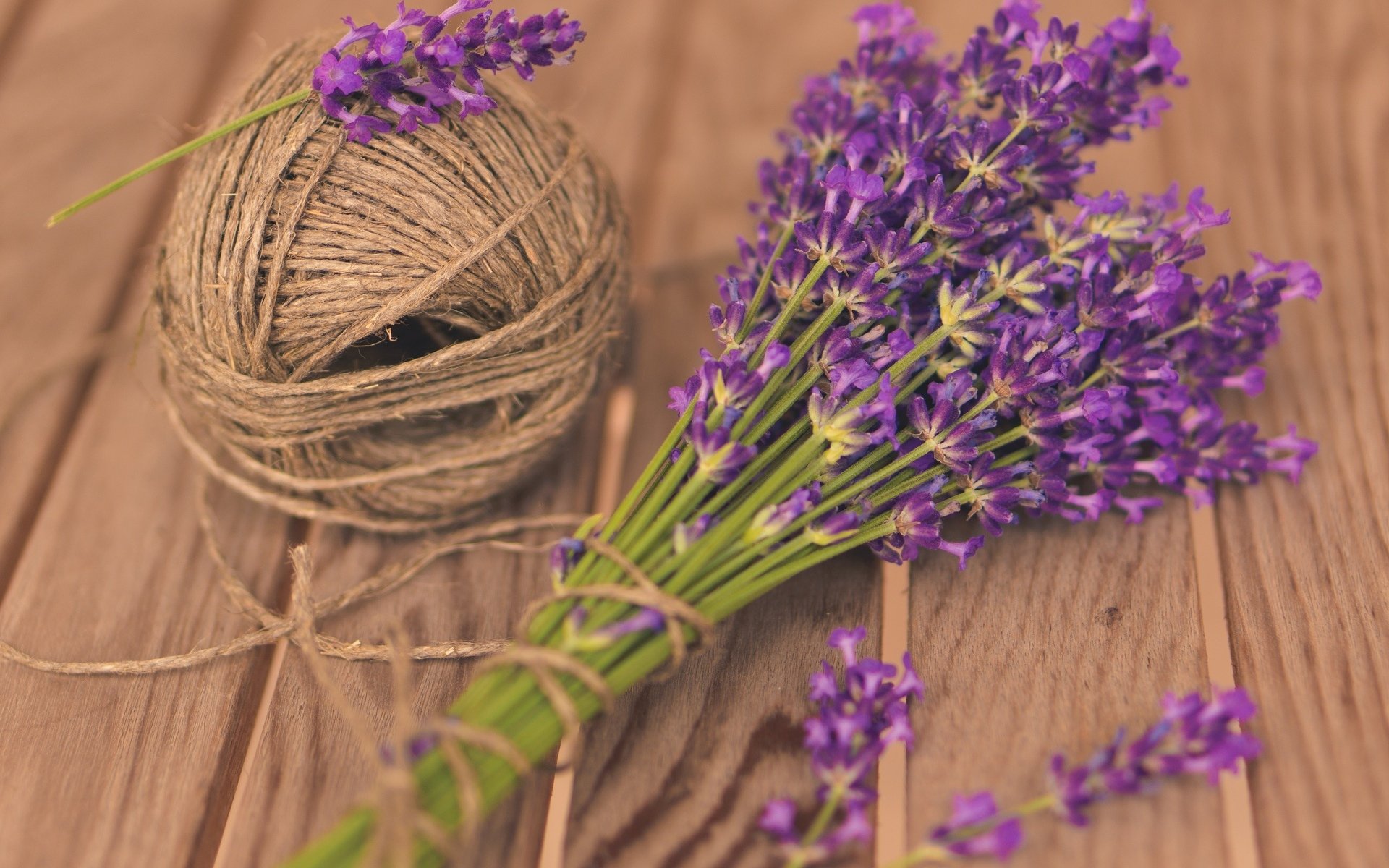 moods flowers flowers lavender purple tangle thread background flower wallpaper widescreen fullscreen widescreen widescreen