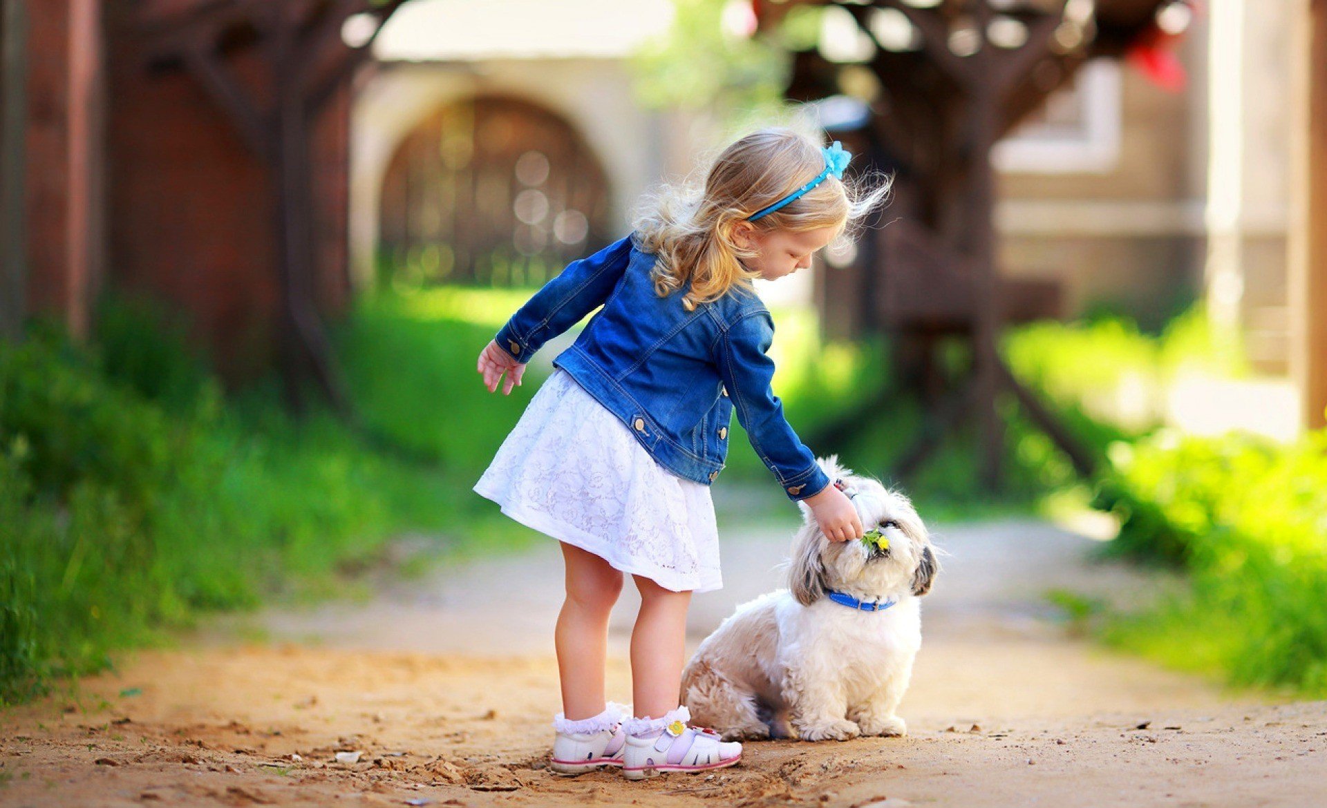 humeur enfants fille lunette décoration fleurs fleur chien chien chien chien collier nature herbe verdure arbre arbres feuilles feuillage folioles bokeh flou arrière-plan papier peint grand écran plein écran écran large large