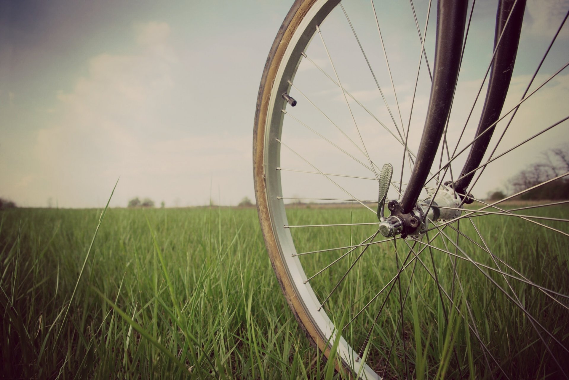 estado de ánimo bicicleta rueda hierba vegetación naturaleza fondo pantalla ancha pantalla completa pantalla ancha fondo de pantalla