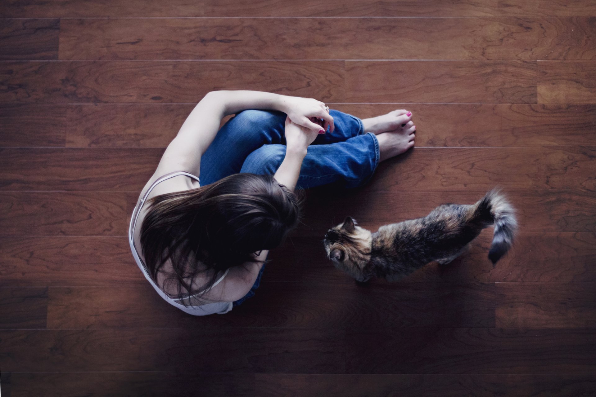 mood girl brunette sitting legs jeans cat cat floor background wallpaper widescreen fullscreen widescreen widescreen