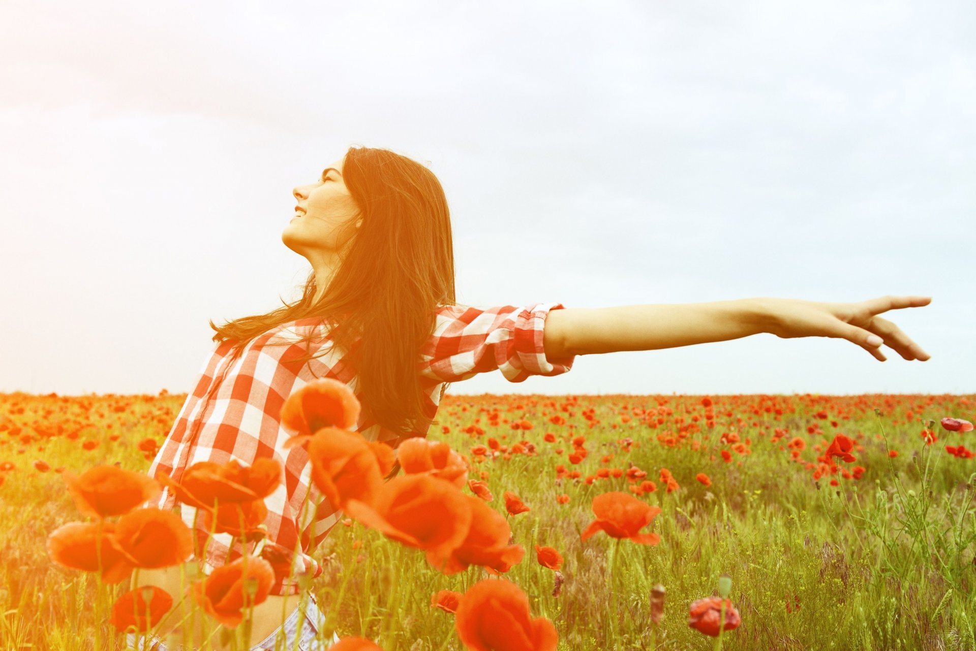 humeur fille femme fille sourire positif joie mains liberté champ fleurs fleurs coquelicot rouge plantes feuilles folioles soleil fond fond d écran écran large plein écran écran large