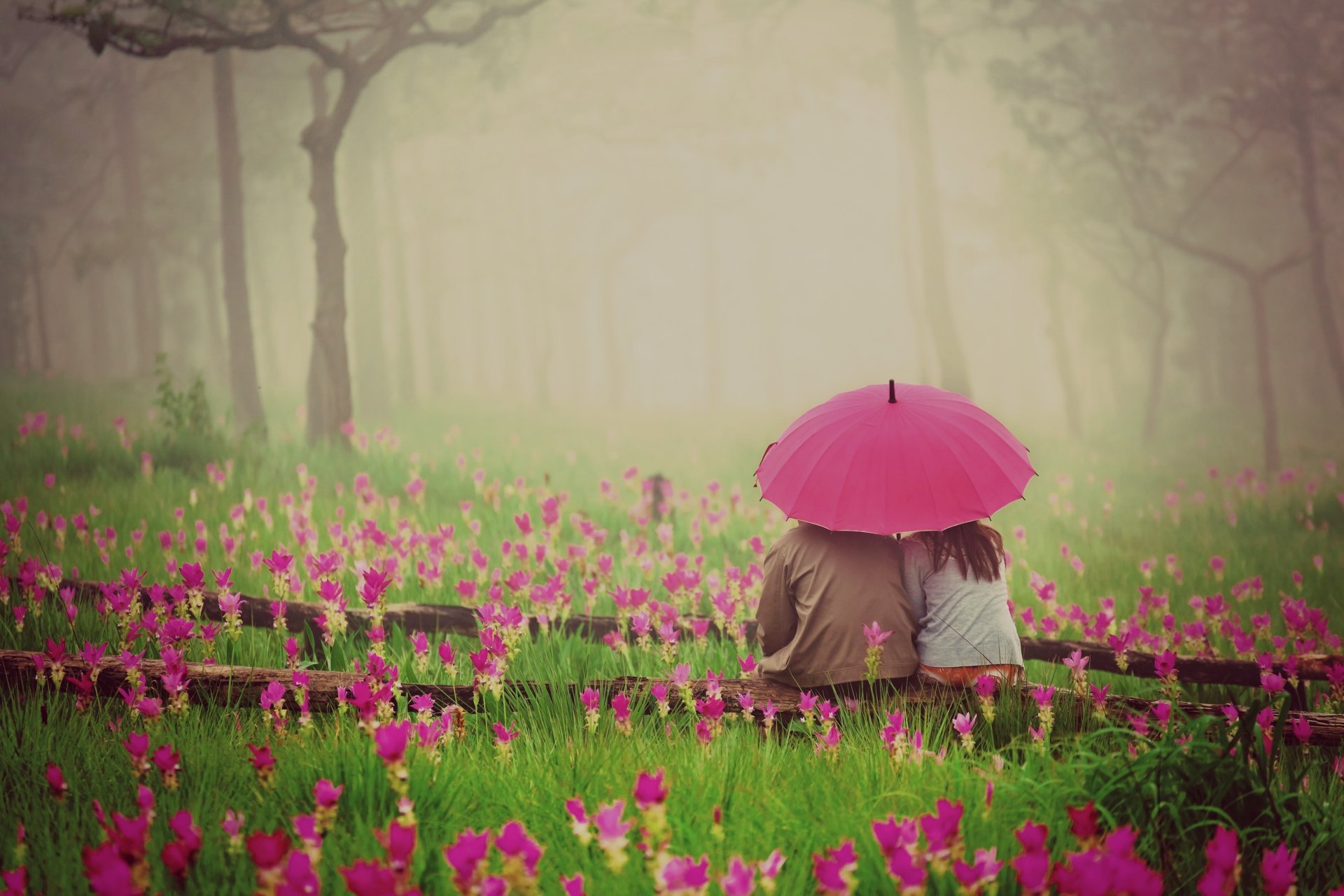 stimmungen mädchen kerl frau mann paar paar regenschirm regenschirm liebhaber gefühle liebe romantik wärme rosa natur grün gras vegetation blumen blumen hintergrund tapete widescreen vollbild widescreen