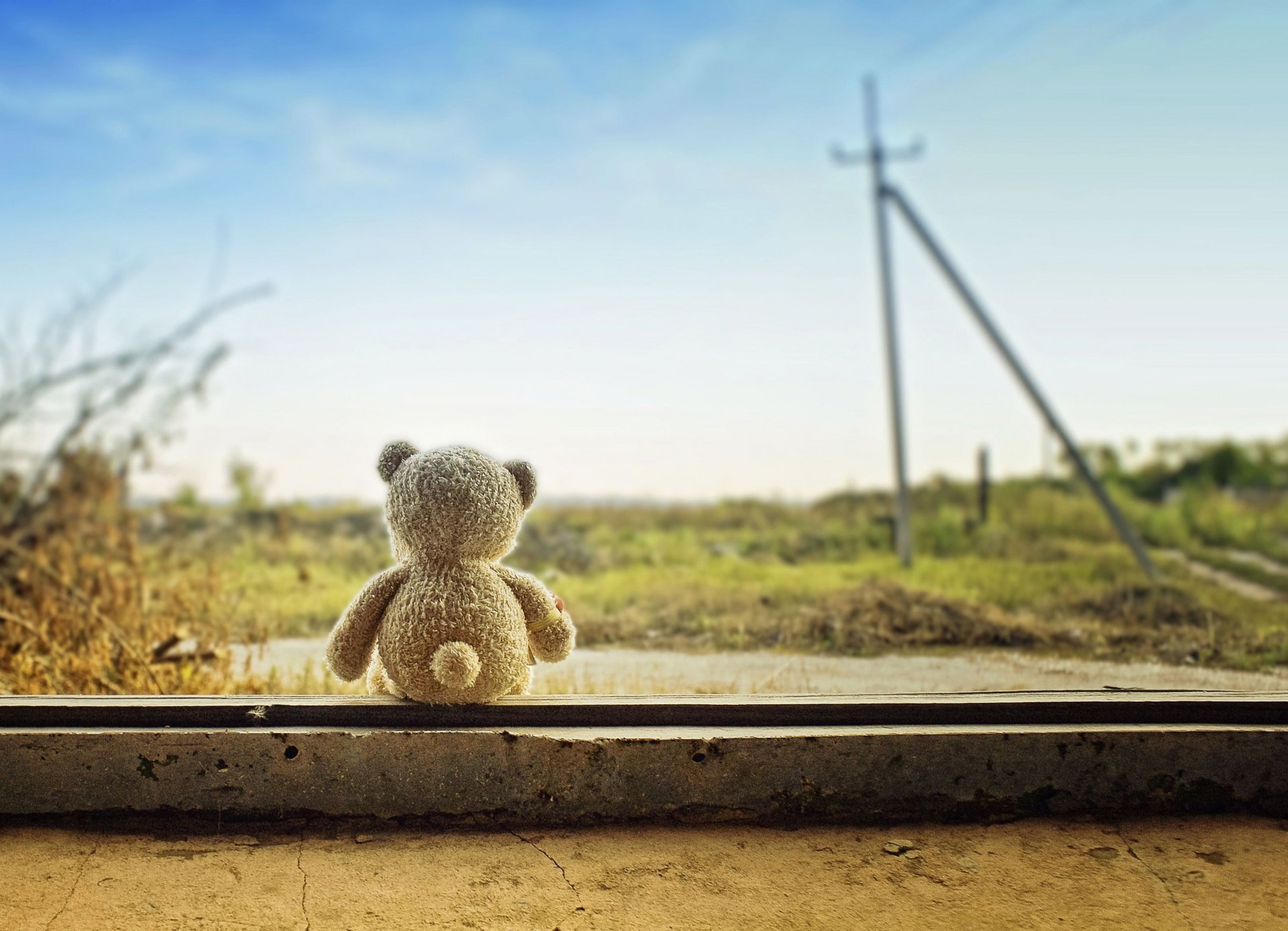 stimmungen spielzeug teddybär bär natur pflanzen himmel hintergrund tapete widescreen vollbild widescreen widescreen