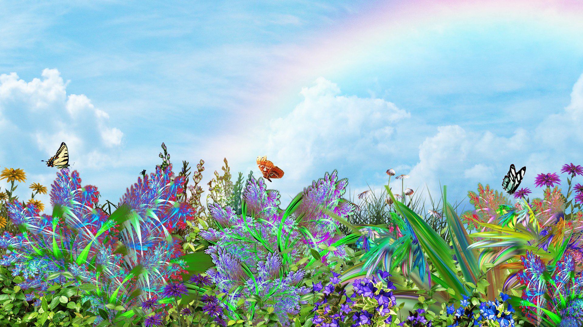 art mood flower butterfly sky rainbow nature landscape